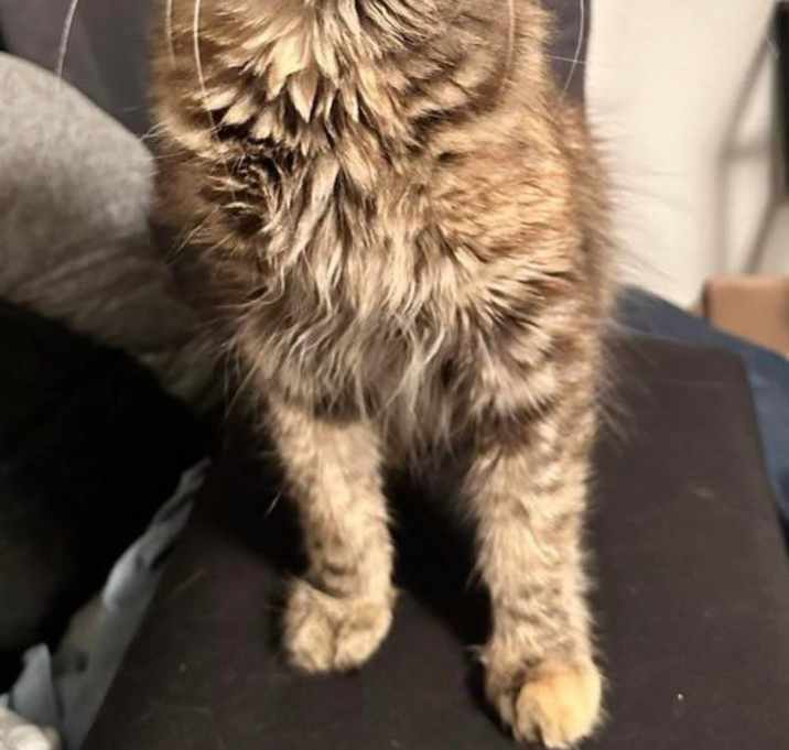 Photo of Sibby