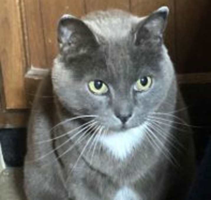 Photo of Prissy