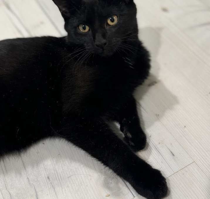 Photo of Penelope