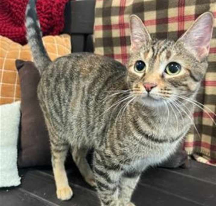 Photo of Rosy