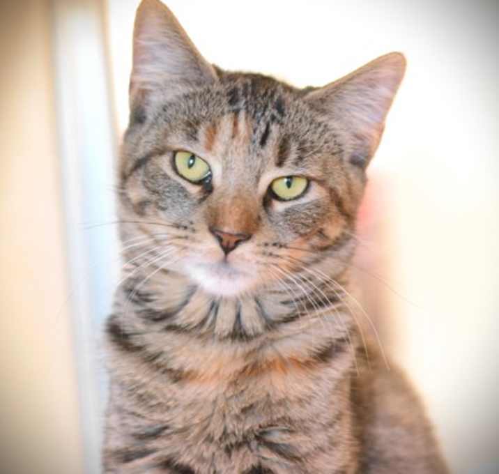 Photo of Ellie