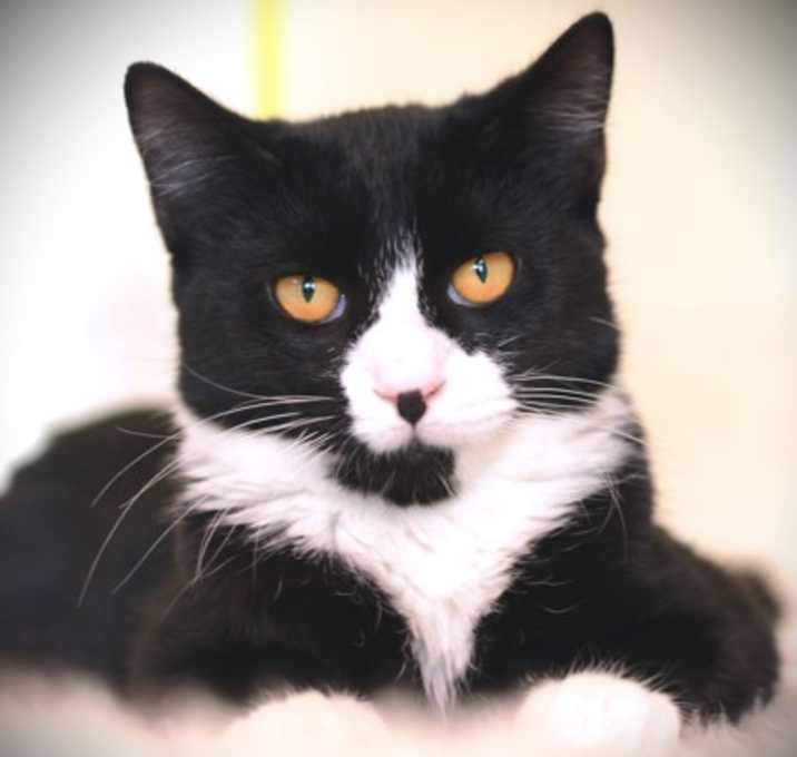 Photo of Annie