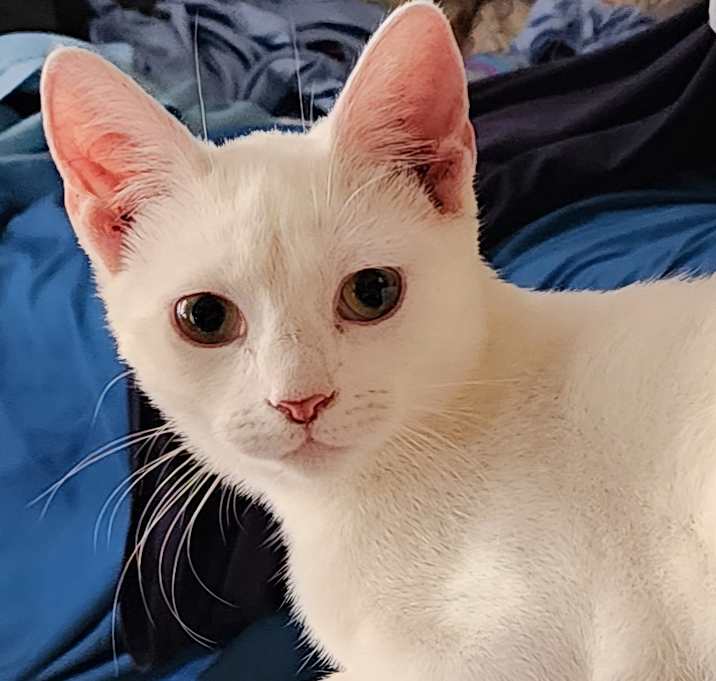 Photo of Duchess