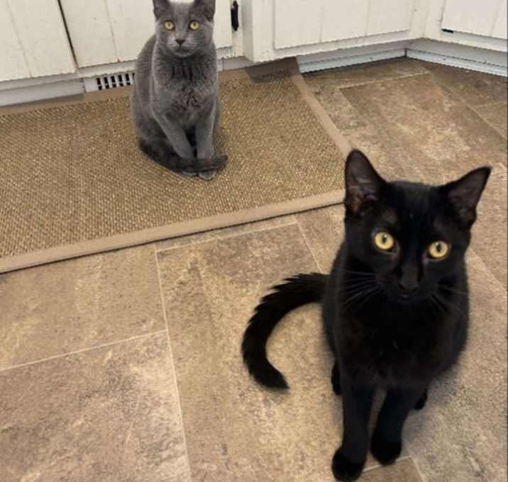 Photo of Smokey