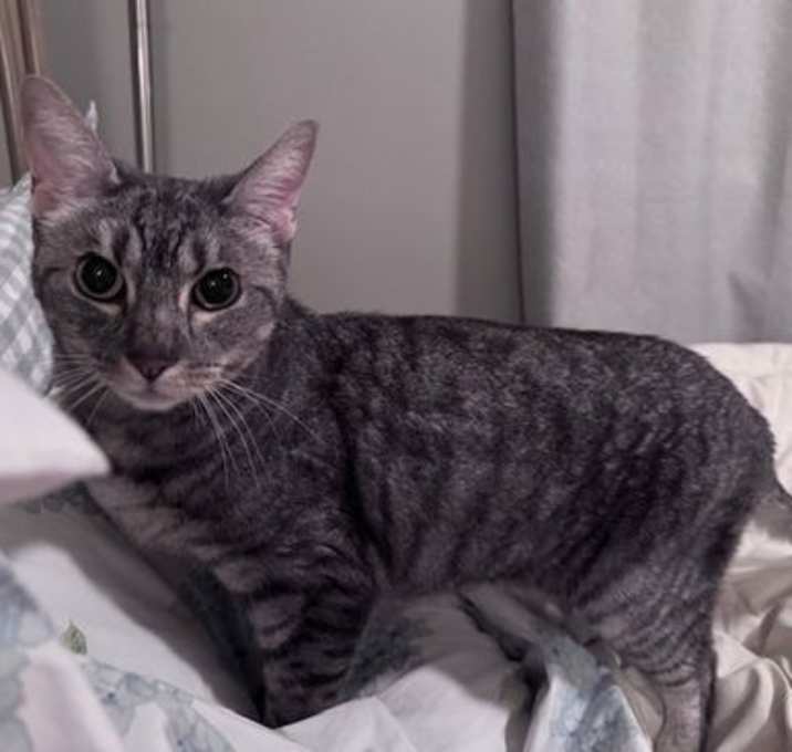 Photo of Fiona