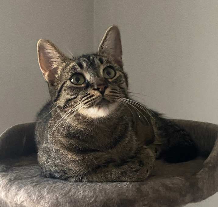 Photo of Seraphina