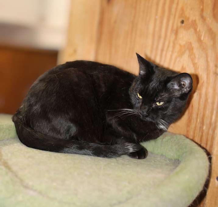 Photo of Mayzi