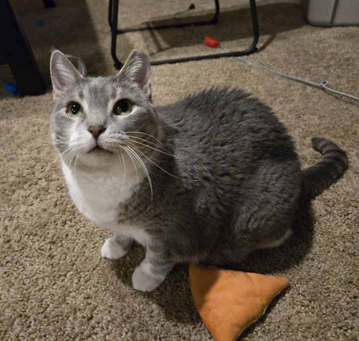 Photo of Rey