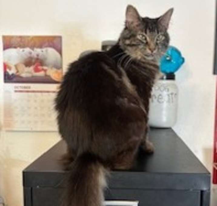 Photo of Minnie