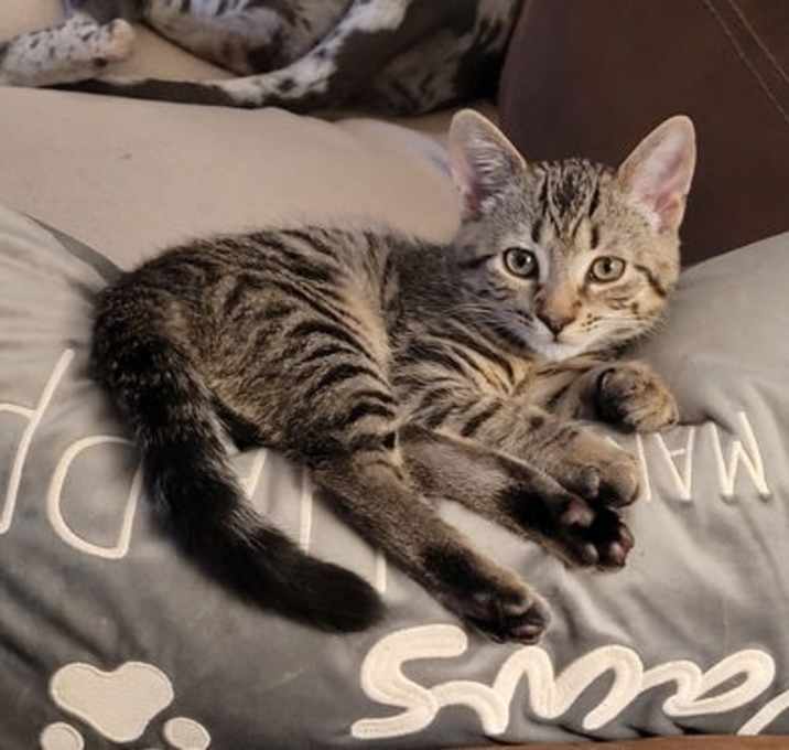 Photo of Obie