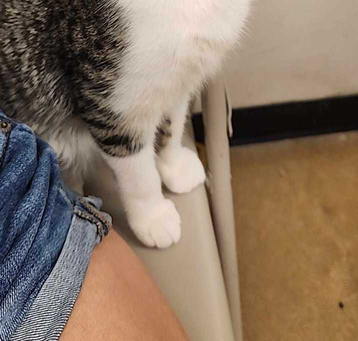 Photo of Pretty boy