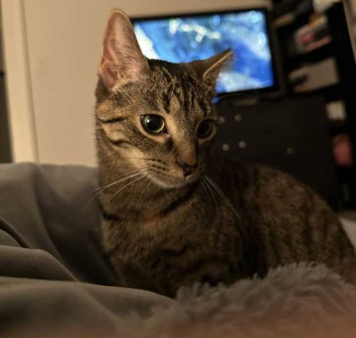 Photo of Little Miss