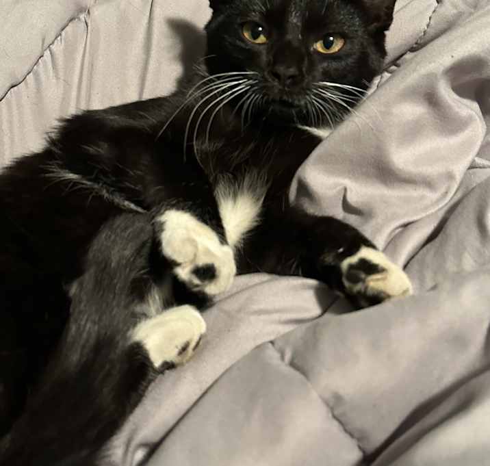Photo of Ella