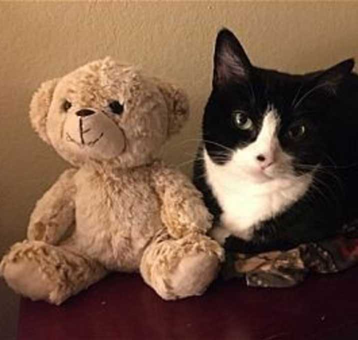 Photo of Nala