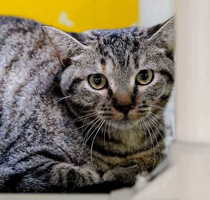Photo of Bernadette