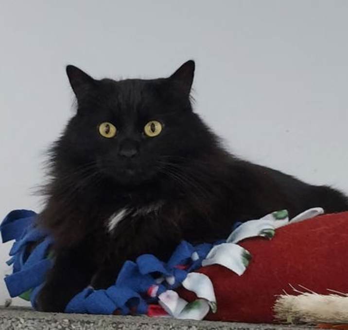 Photo of Grommet