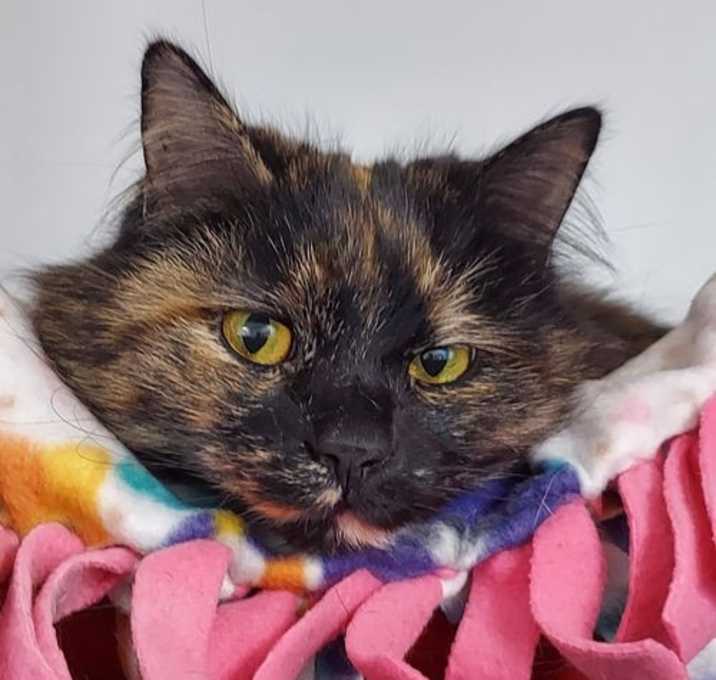 Photo of Deanna