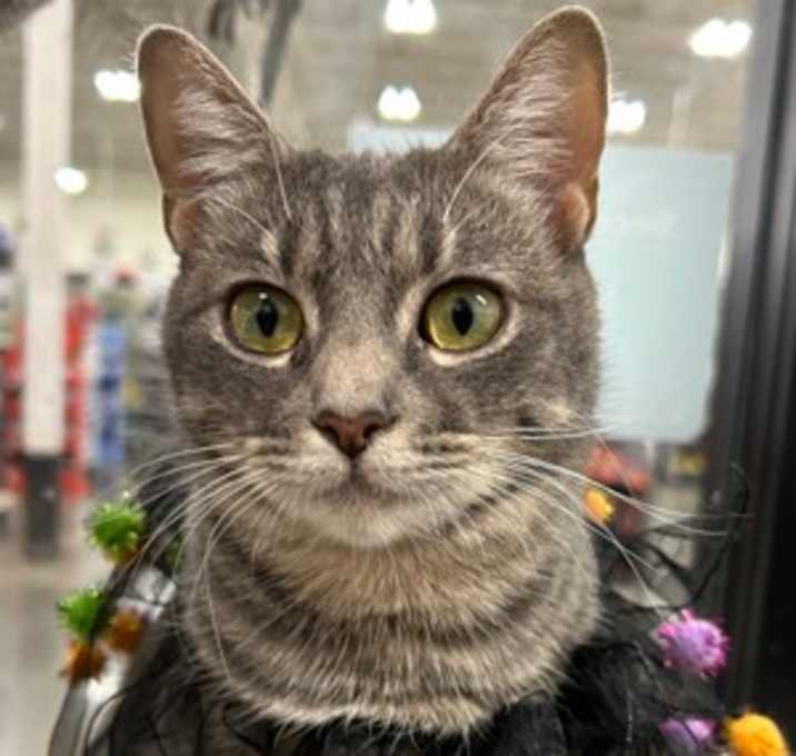 Photo of Bella