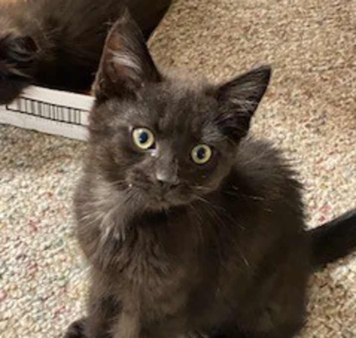 Photo of Steven
