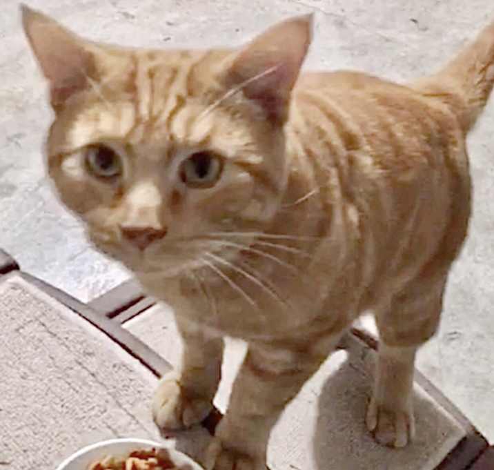 Photo of Sam
