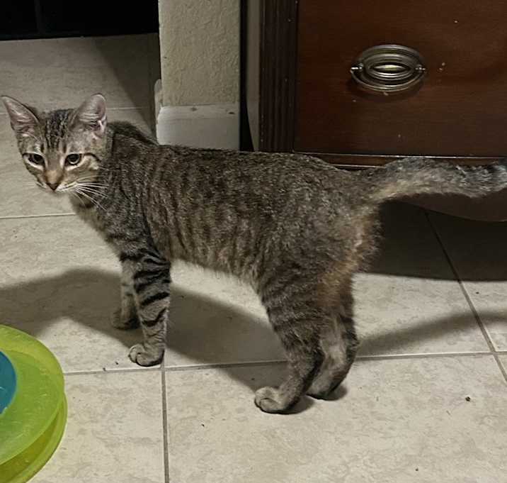 Photo of Zuzu