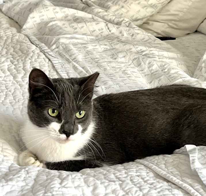 Photo of Wyatt