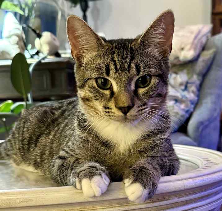 Photo of Ricky