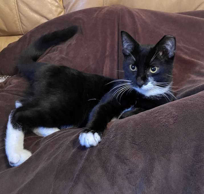 Photo of Jasper