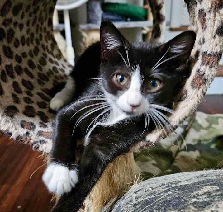 Photo of Edamae