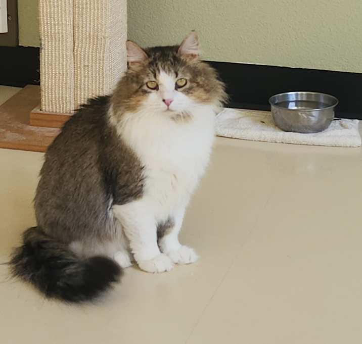 Photo of Rocky