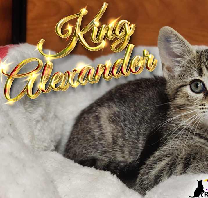 Photo of King Alexander