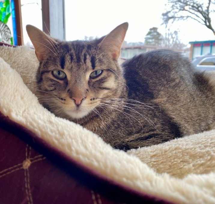 Photo of Sally Kat