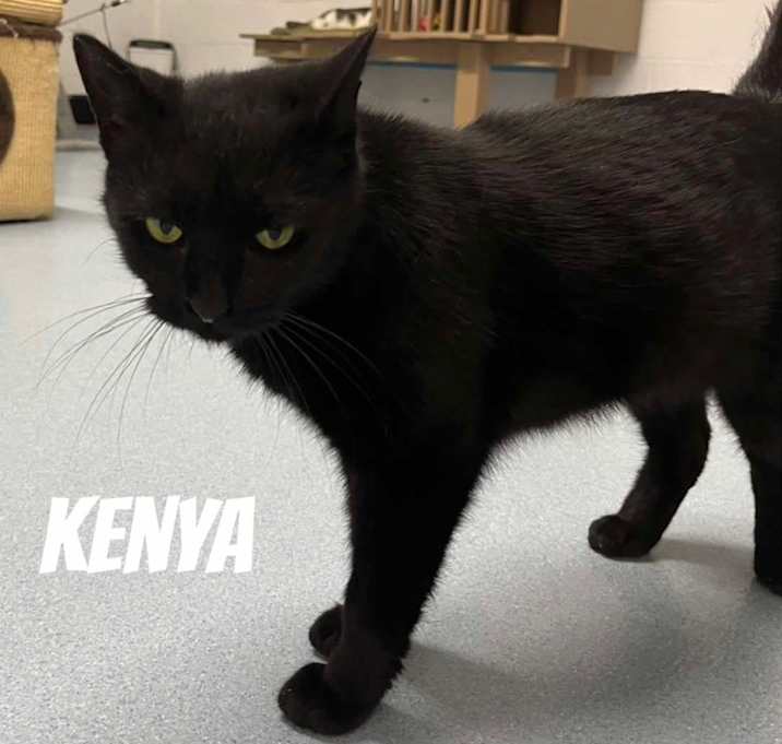 Photo of Kenya