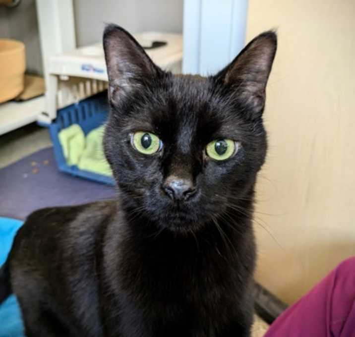 Photo of Milo