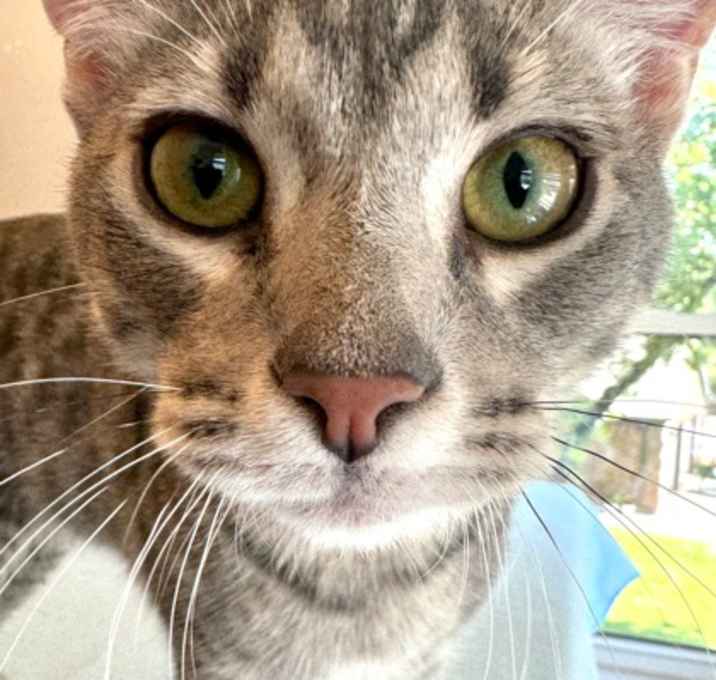 Photo of Uno