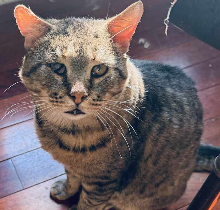 Photo of Puddin’