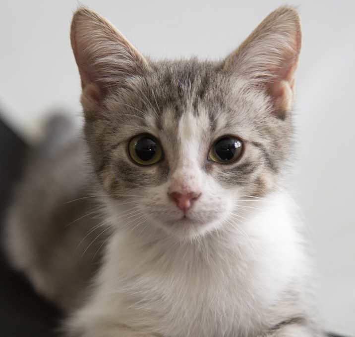 Photo of Wednesday