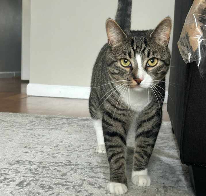 Photo of Elliot