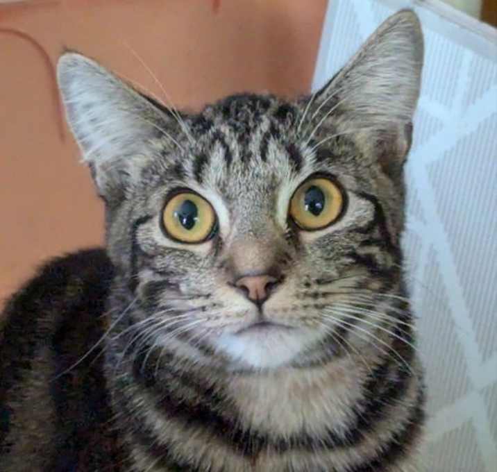 Photo of Princess