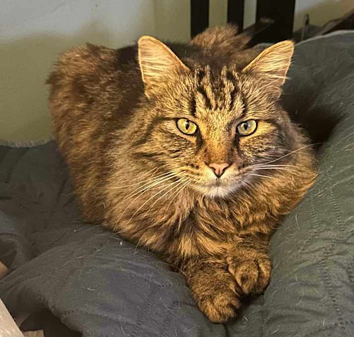Photo of Fuzz