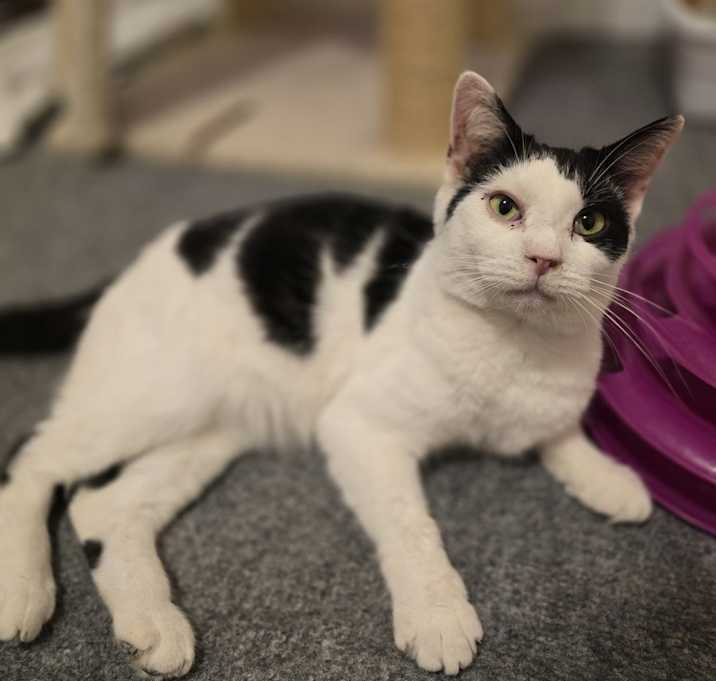 Photo of Maggie