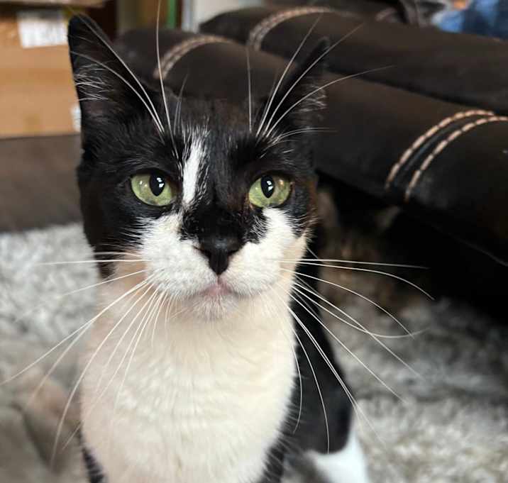 Photo of Lucy