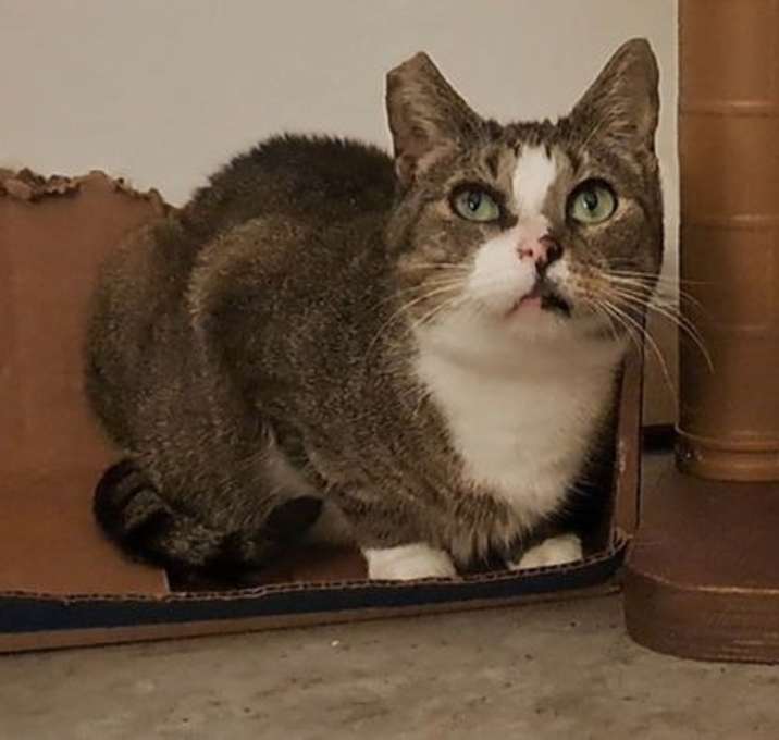 Photo of Honey