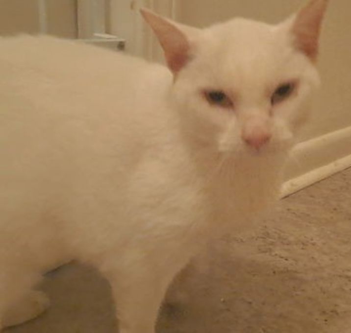 Photo of Salt