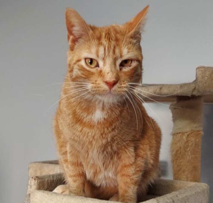 Photo of Salem