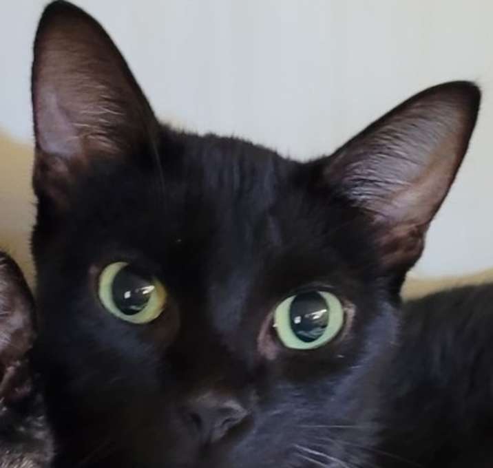Photo of Tia