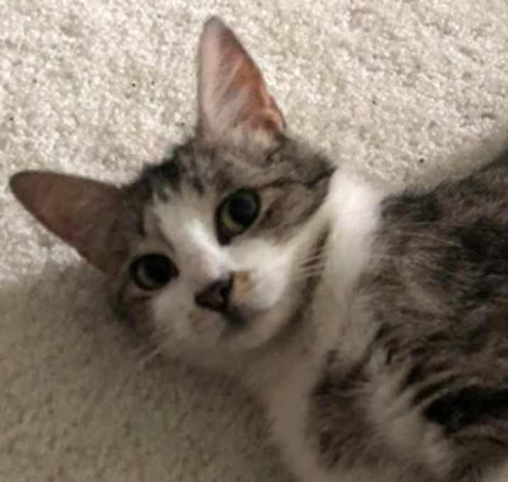 Photo of Sugar