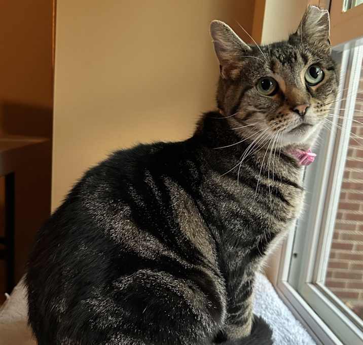 Photo of Juliet