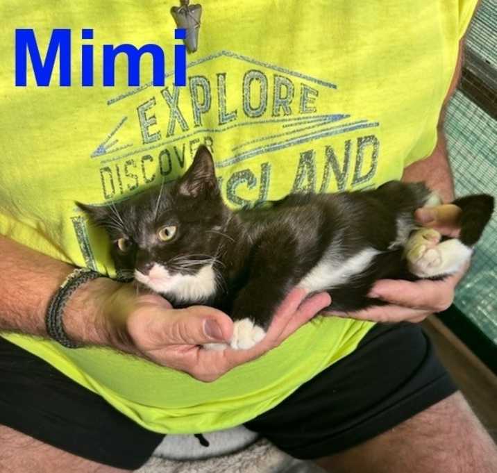 Photo of Mimi East Meadow