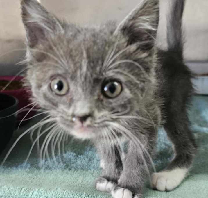 Photo of Bootsie